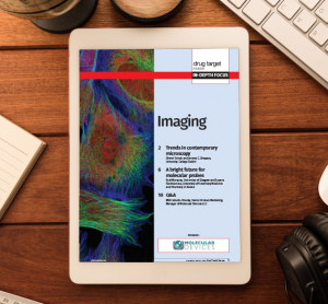 Imaging In-Depth Focus 2015