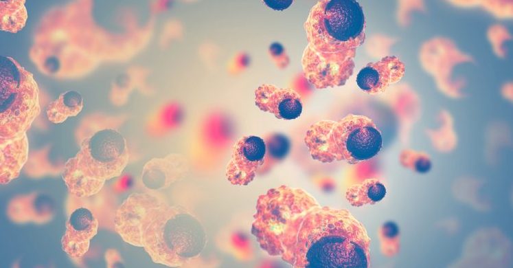 cancer cells