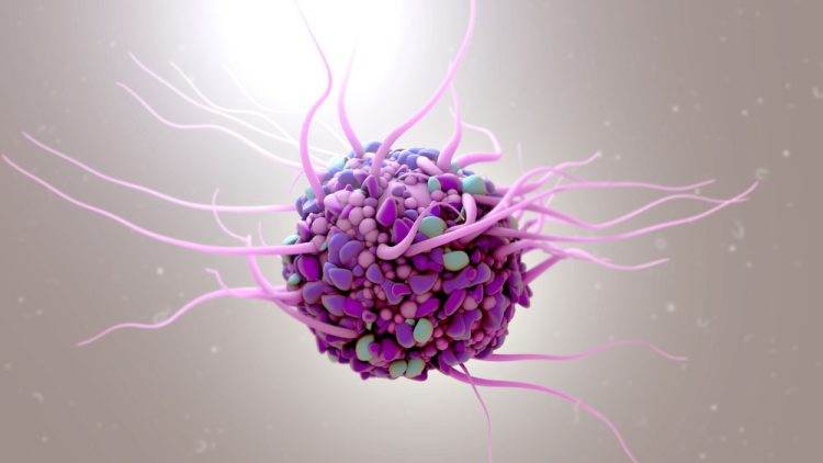 Macrophage