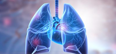 Human lungs anatomy on science background. 3d illustration